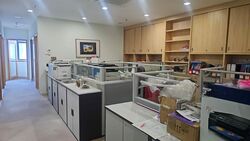 Vertex (D14), Factory #499087481